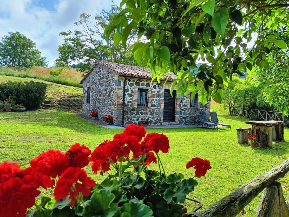Holiday home Meridiano 12
