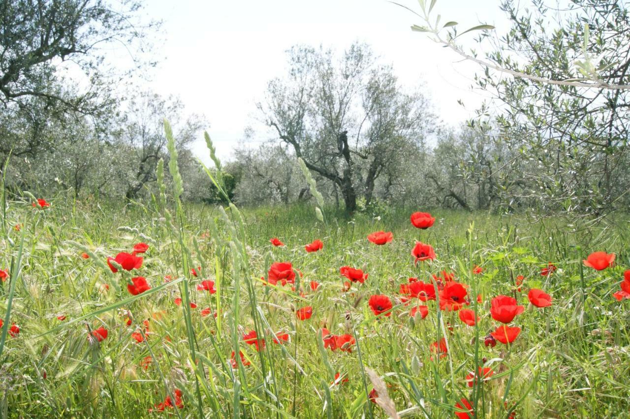 Holiday home Meridiano 12